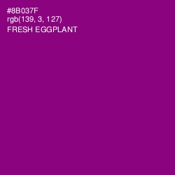 #8B037F - Fresh Eggplant Color Image